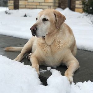 Meet your Posher, Stacey